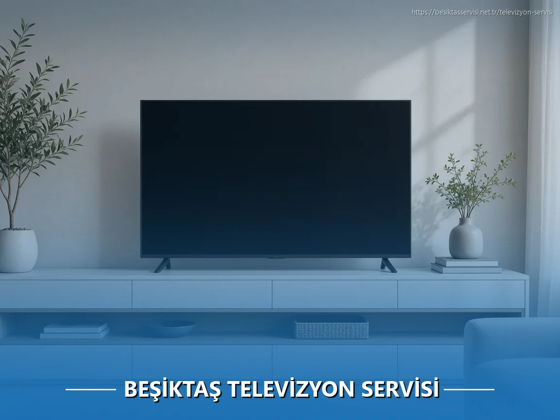 Beşiktaş Televizyon Servisi