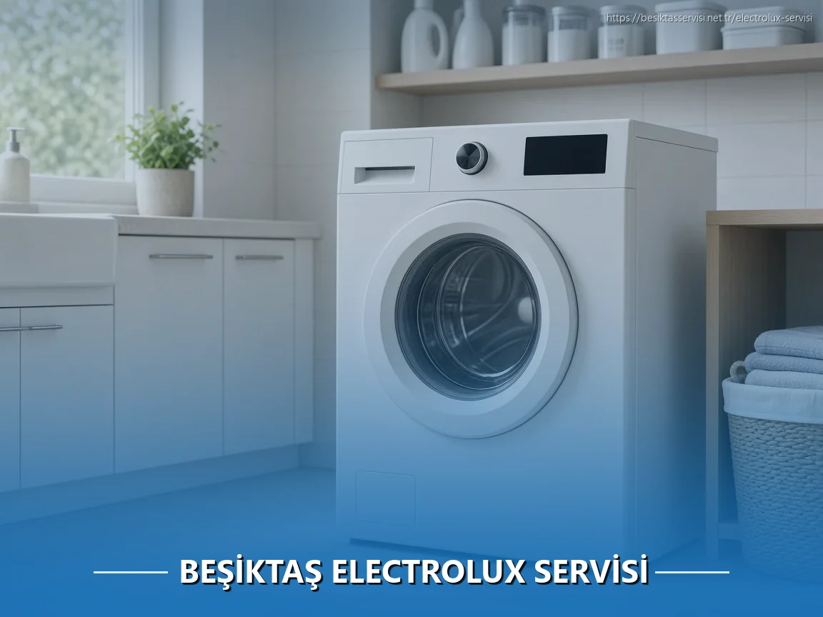 Beşiktaş Electrolux Servisi