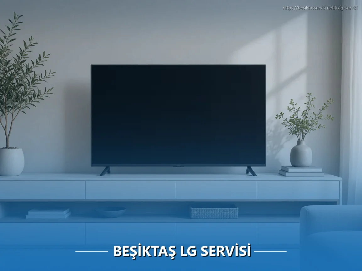 Beşiktaş LG Servisi